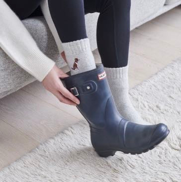 Springer Spaniel Dog Walking Socks