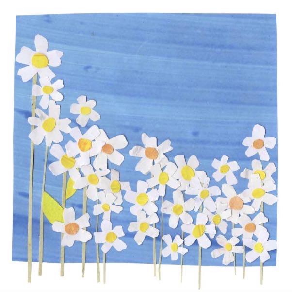 Have A Wonderful Birthday card, daisies and blue sky