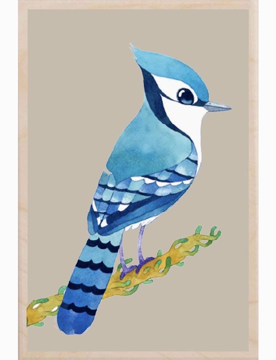 Blue Jay Wooden Postcard - The Wooden Postcard Company