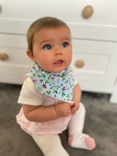 Vintage blue rose bib