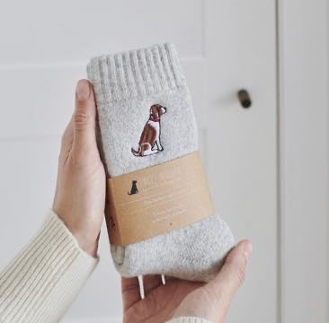 Springer Spaniel Dog Walking Socks
