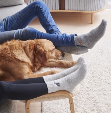 Dachshund Dog Walking Socks