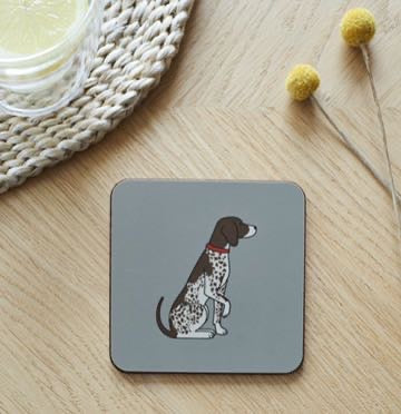 German short haired pointer 