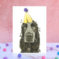 Black Cocker Spaniel Pompom Birthday Card