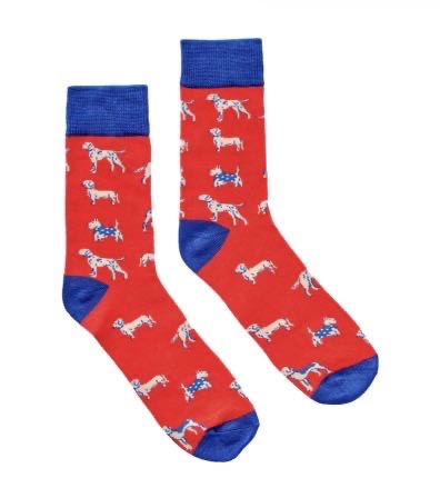 Storage Tin & Sock Set - Dogs