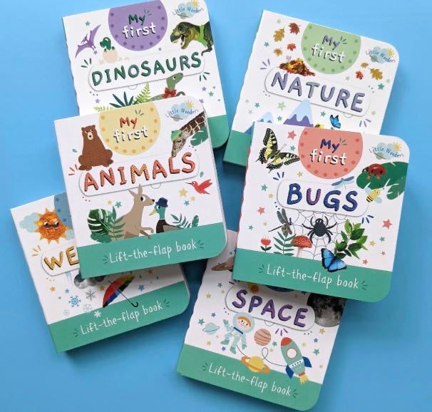 Little Wonders My First Mini Lift The Flap Book: Dinos