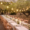 Festoon Outdoor Lights