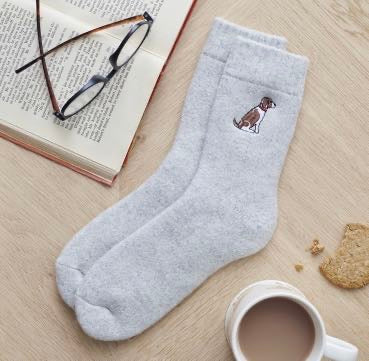 Springer Spaniel Dog Walking Socks