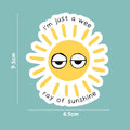 WEE RAY OF SUNSHINE SARCASTIC STICKER-Parful stuff