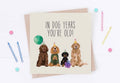 In Dog Years You’re Old Greeting Card