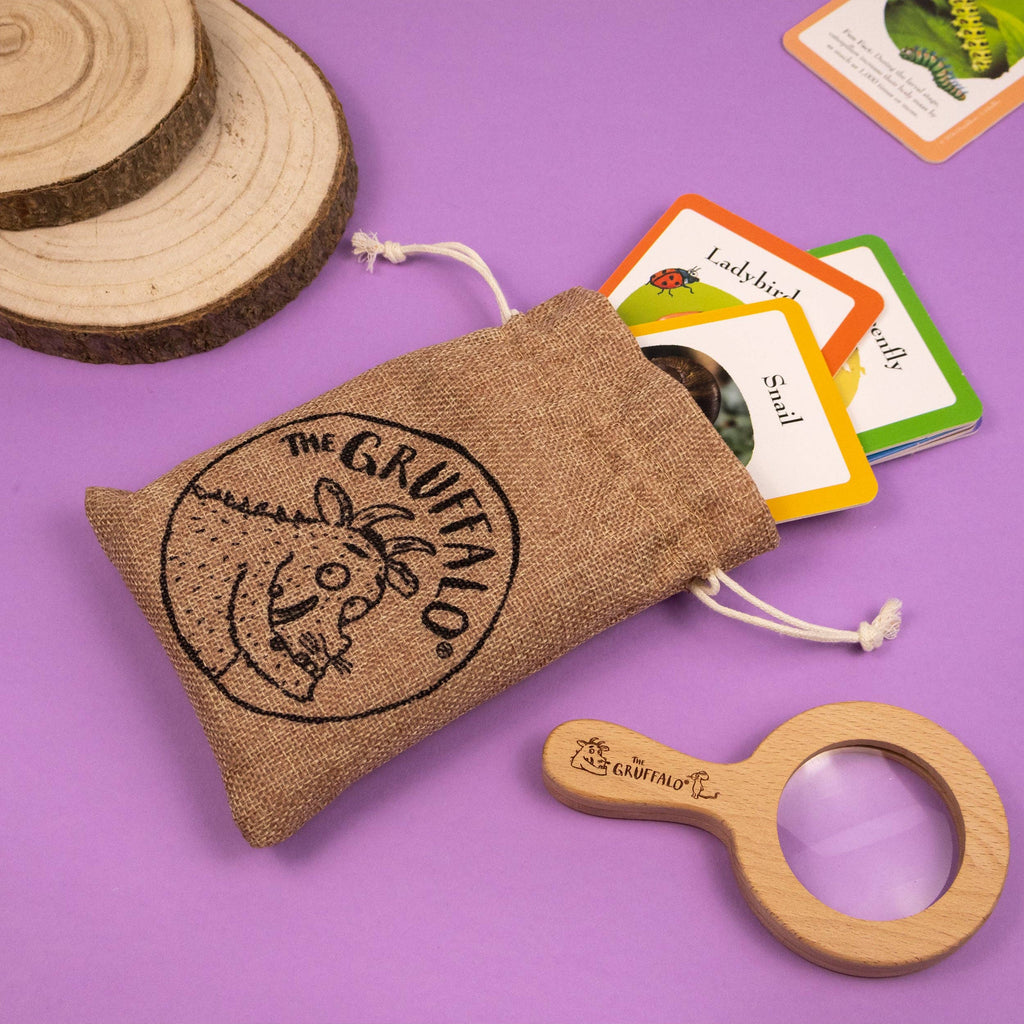 The Gruffalo Bug Spotter Activity Set