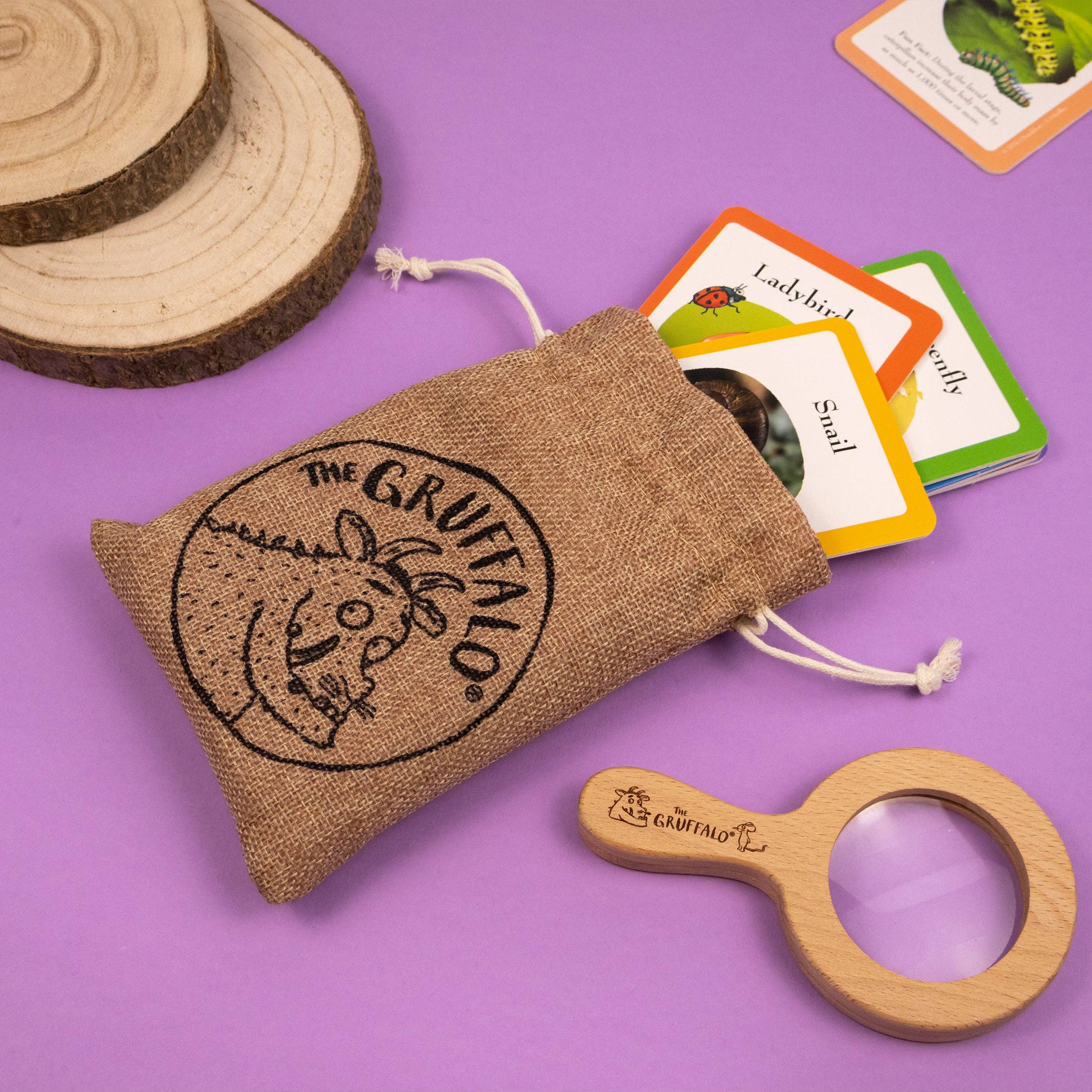 The Gruffalo Bug Spotter Activity Set