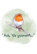 Robin Print (A5 & A4) - Parful Stuff
