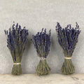 Dried lavendar bunch - east of india 