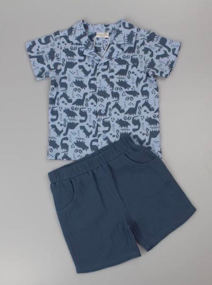 Boys Navy Blue Dinosaur Shorts & T-shirts Set