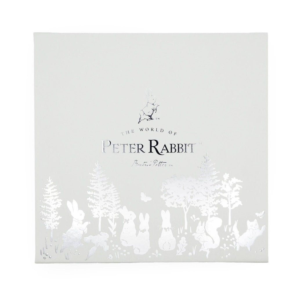 Peter Rabbit Baby Gift Box - Keepsake Frame, Milestone Cards & Handprint Kit
