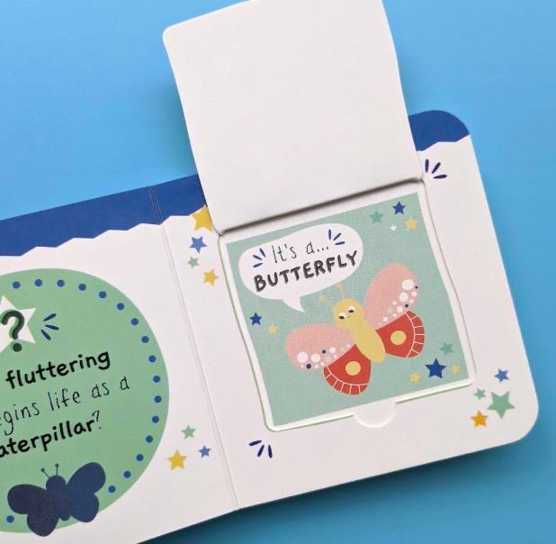Little Wonders My First Mini Lift The Flap Book: Bugs