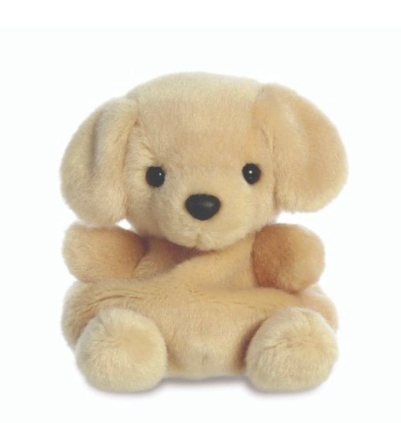 Palm Pals Children's Plush Toy - Various