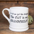 so let me get this straight, The Cat is my Grandchild?" mug by sweet William designs 