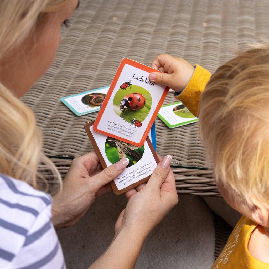 The Gruffalo Bug Spotter Activity Set