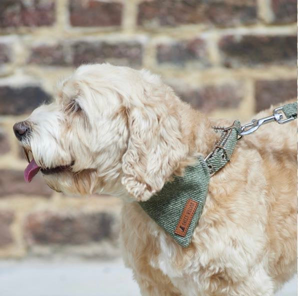 Tweed Dog Bandana - Green