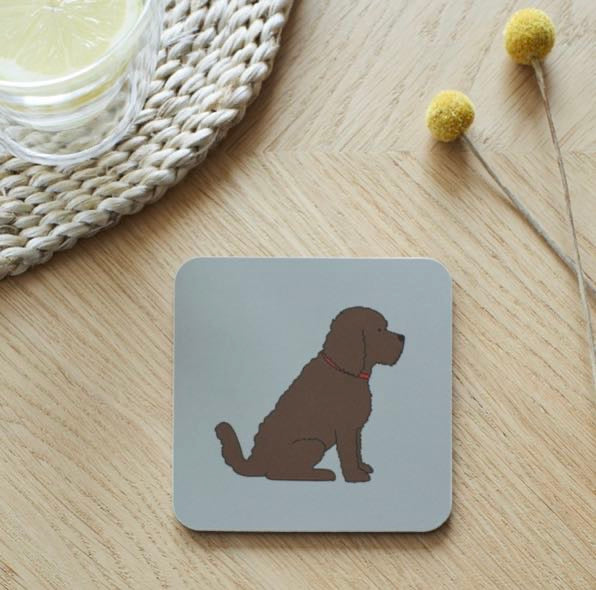 Cockapoo/labradoodle chocolate brown coaster from sweet William designs