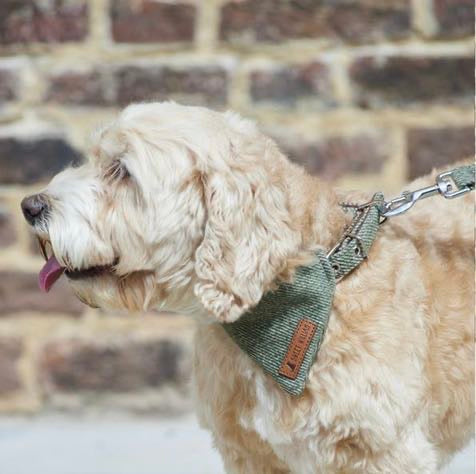 Tweed Dog Collar - Green