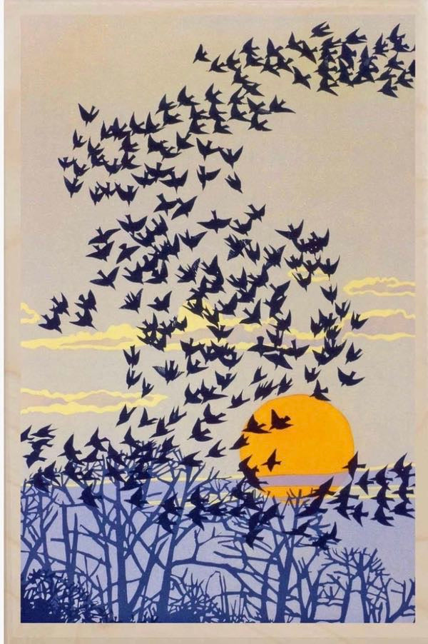 Starling Murmuration Wooden Postcard - The Wooden Postcard Company