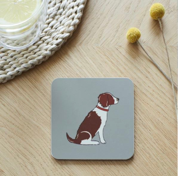 Springer Spaniel Coaster
