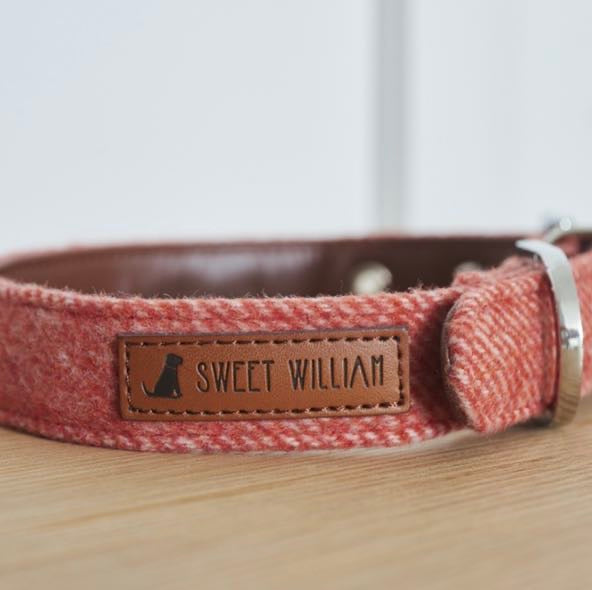 Tweed Dog Collar - Orange