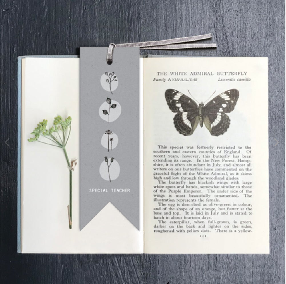 Special Teacher Bookmark - East Of India