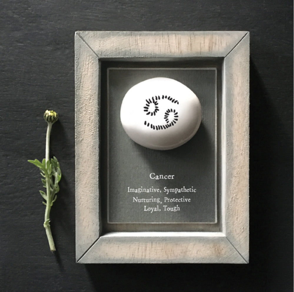 Cancer Pebble Picture - East Of India