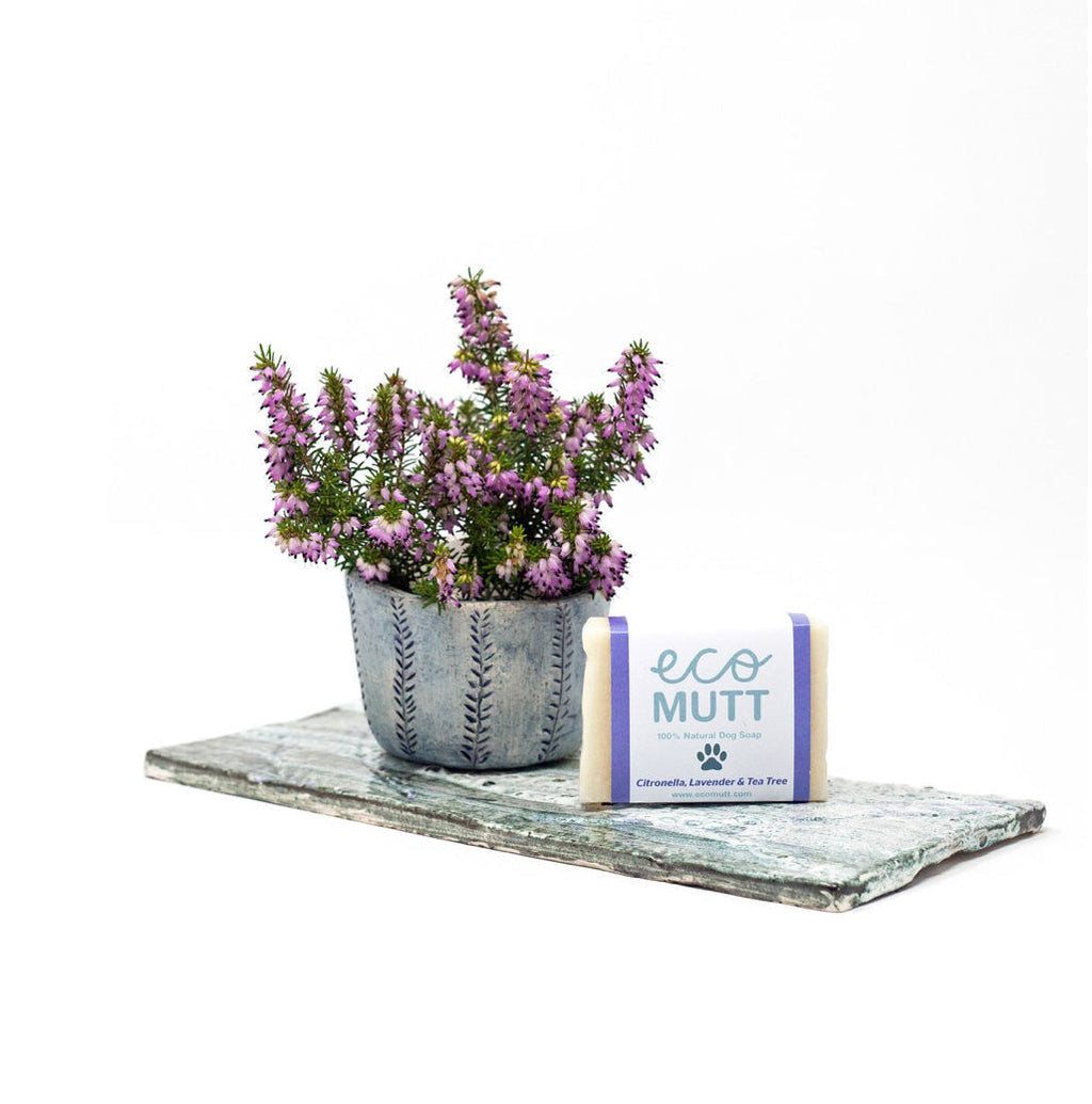 Eco Mutt Dog Soap Bar - Citronella, Lavender & Tea Tree
