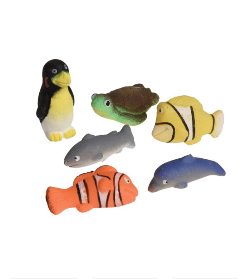 Hatch Your Own Marine Animal